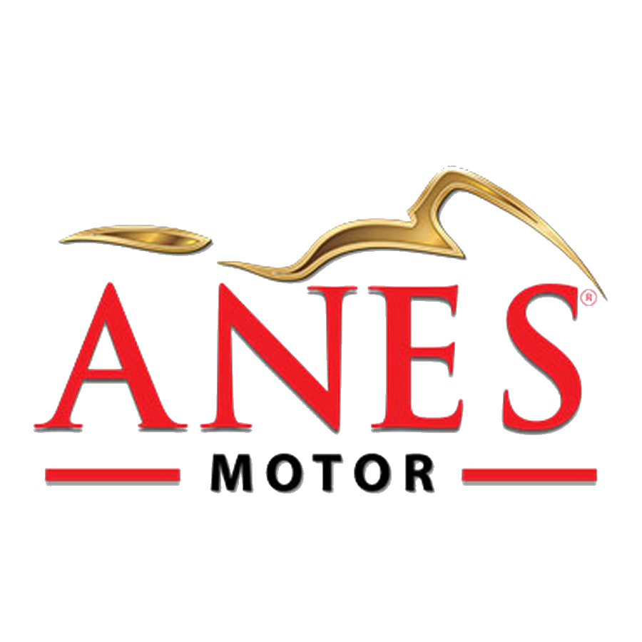 Anes
