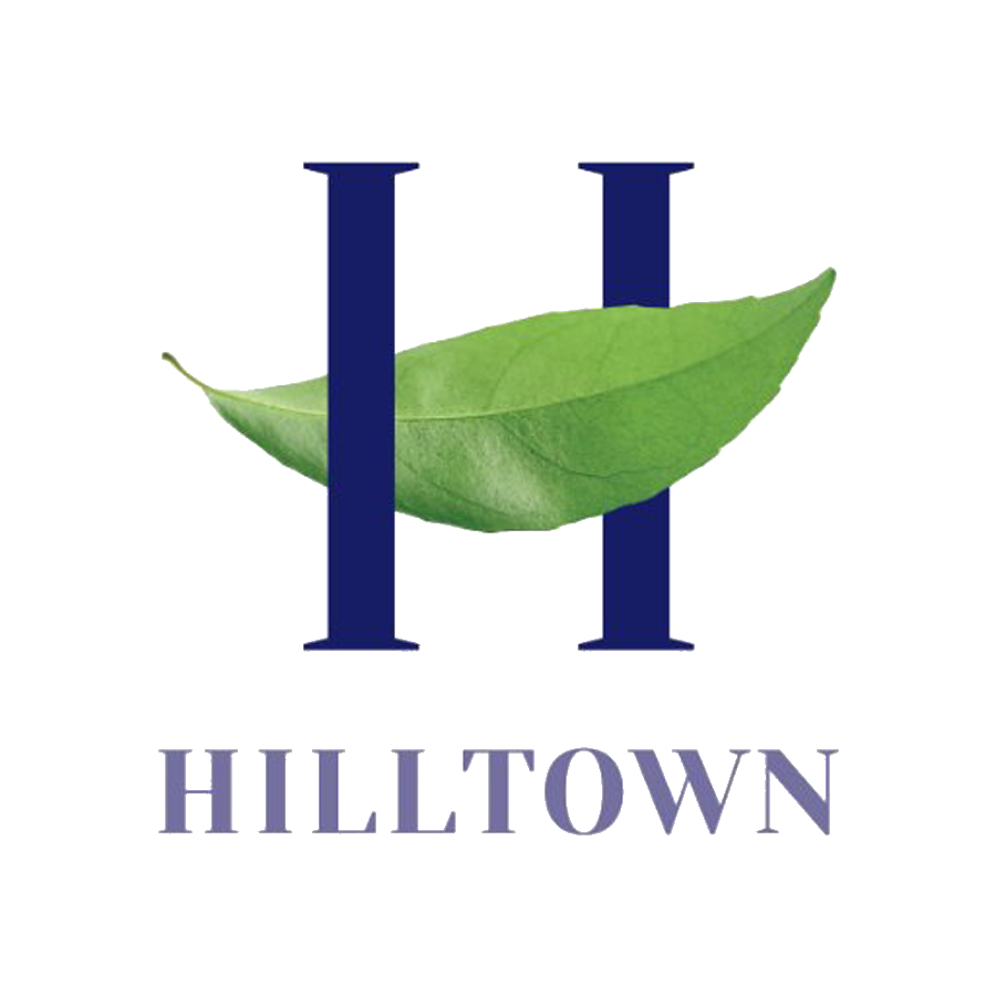 Hilltown Avm
